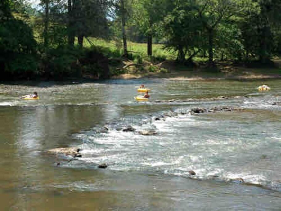 Riverside Relaxer W/Hot Tub+Fire Pit +Wifi & View Franklin Zewnętrze zdjęcie